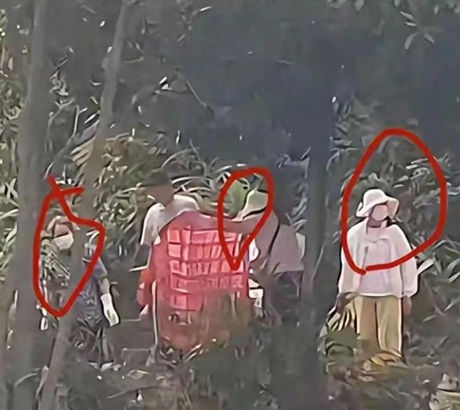 水库放猫后续：多部门介入放生团伙果然不单纯完整产业链被扒