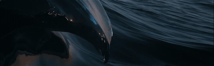 七星潮鸣售楼處│七星潮鸣官网首页 - 2026销售中心『售楼處』- 楼盘欢迎您 